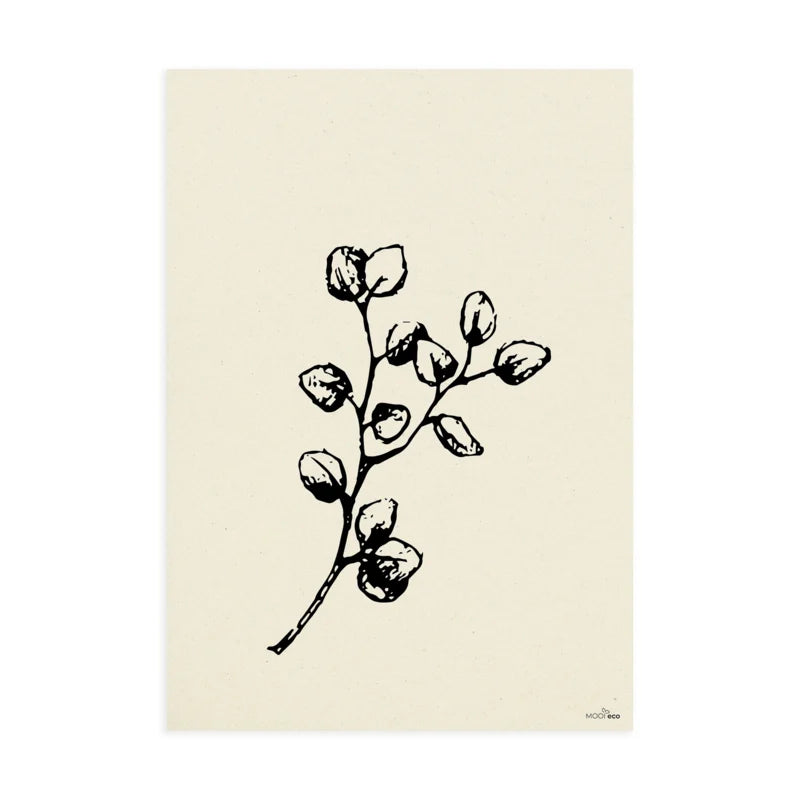 Poster A4 | Eucalyptus | naturel