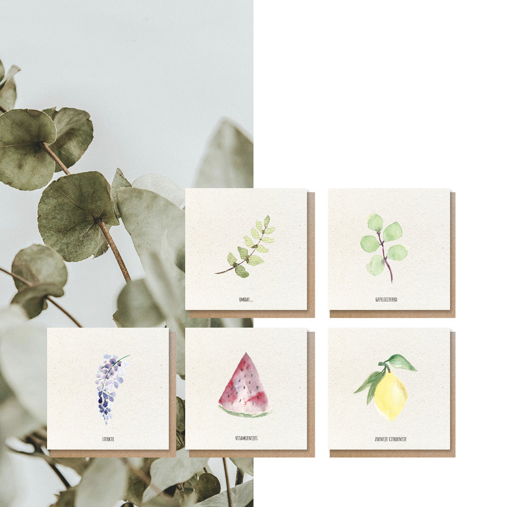 Luxe wenskaarten Aquarel | Set van 5