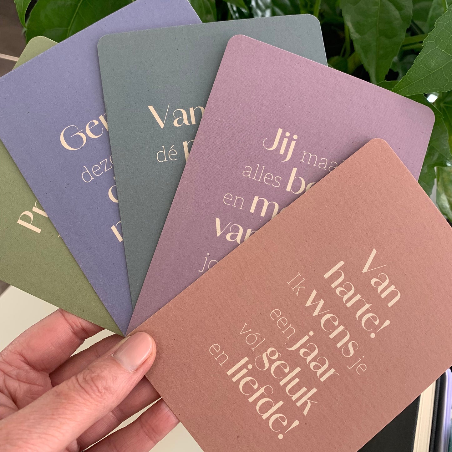 Ansichtkaarten Tekst | Set van 5