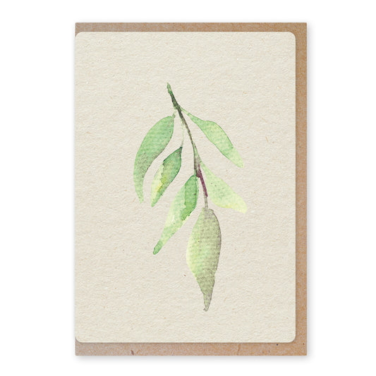 Duurzame Ansichtkaart | Olive Leaf