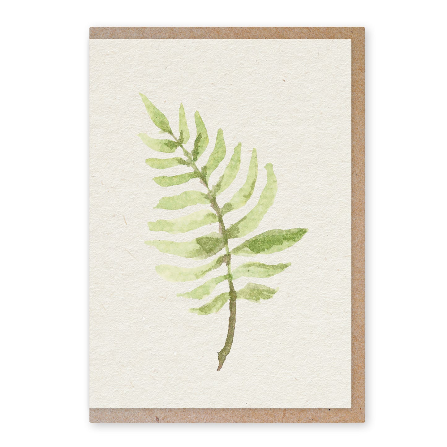 Fern - duurzame ansichtkaart - boomvrij papier / plasticvrij verpakt - met envelop