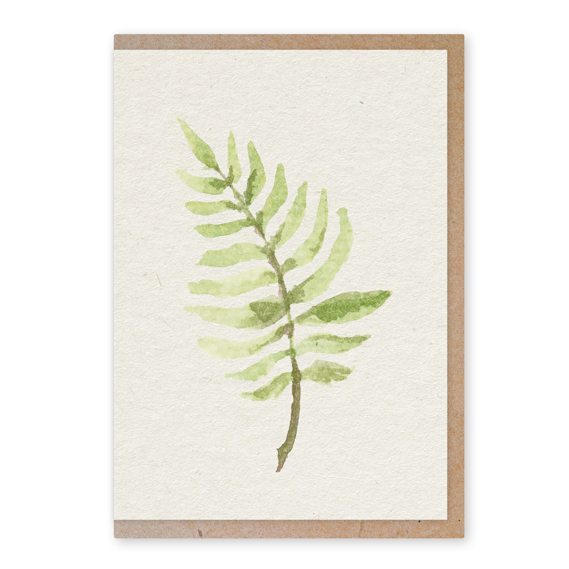 Fern - duurzame ansichtkaart - boomvrij papier / plasticvrij verpakt - met envelop