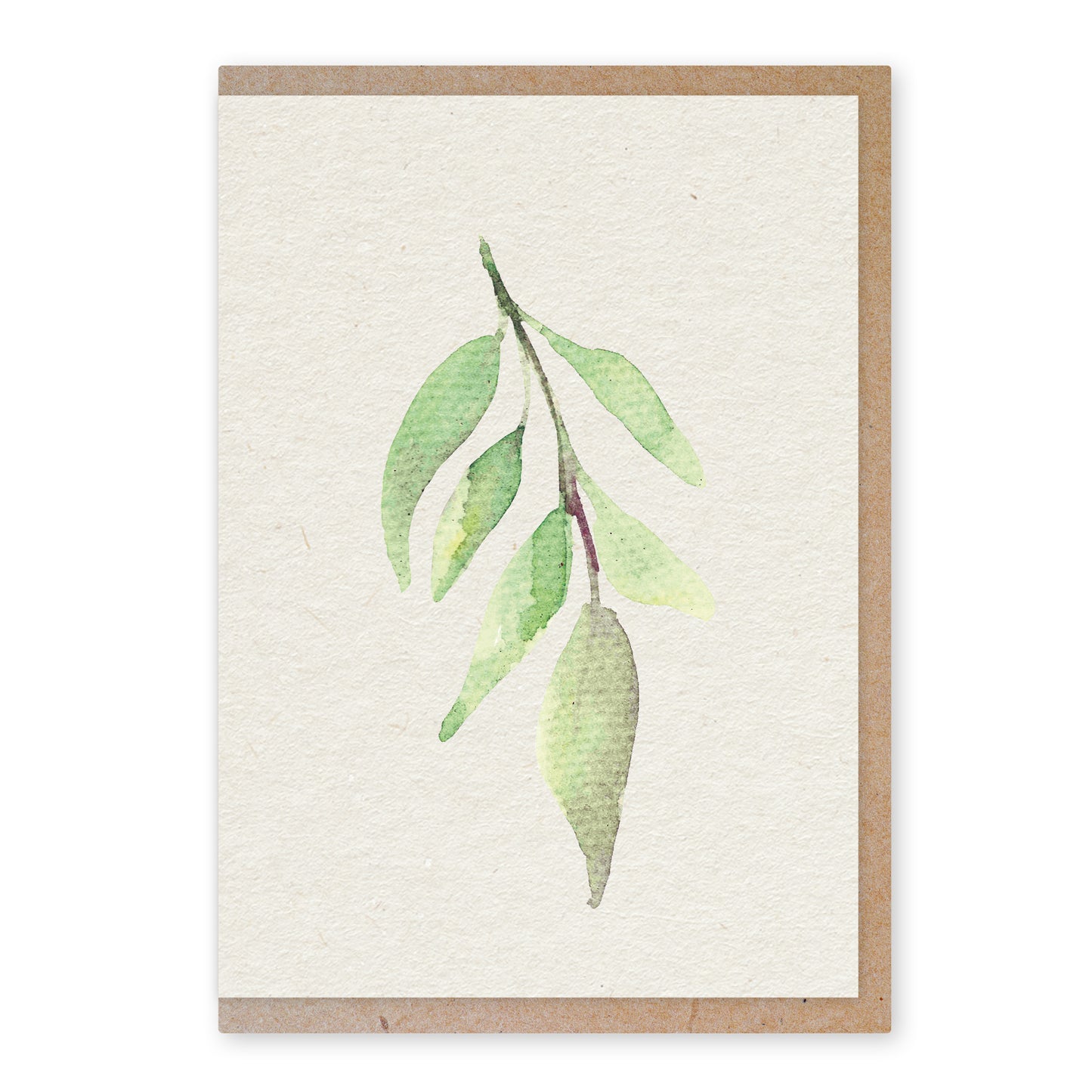 Olive leaf - duurzame ansichtkaart - boomvrij papier / plasticvrij verpakt - met envelop