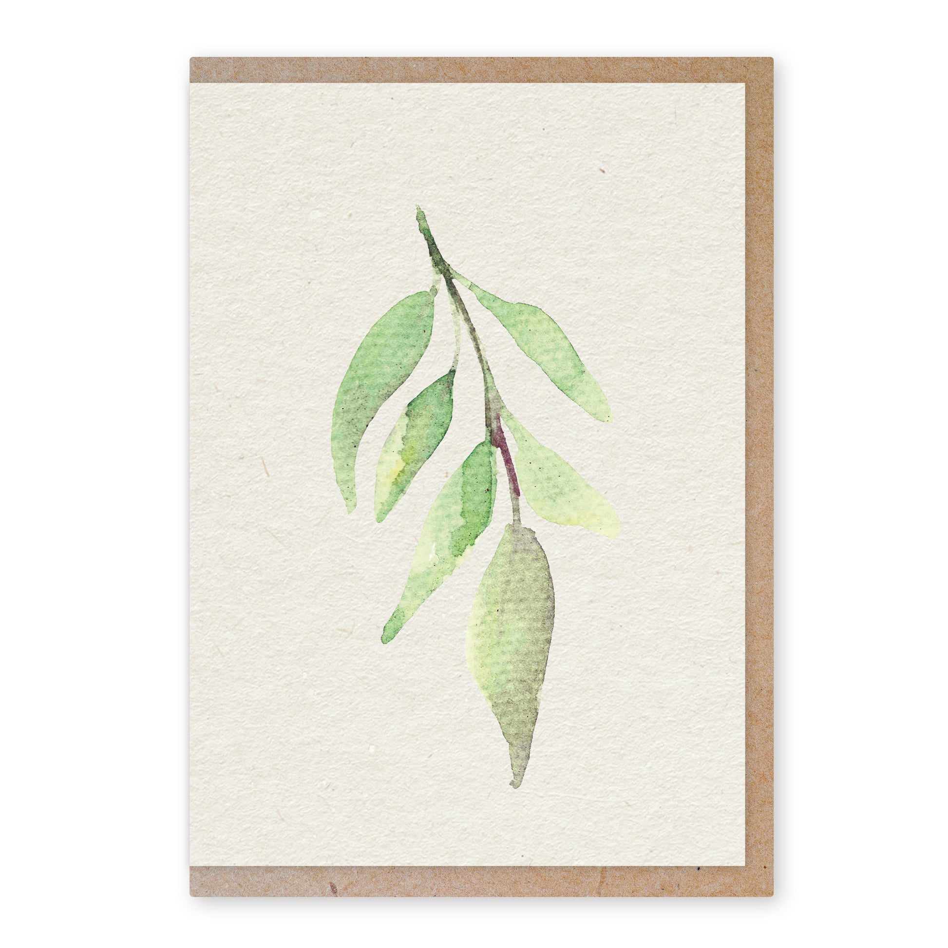 Olive leaf - duurzame ansichtkaart - boomvrij papier / plasticvrij verpakt - met envelop