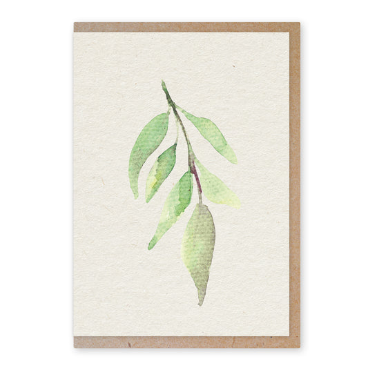 Olive leaf - duurzame ansichtkaart - boomvrij papier / plasticvrij verpakt - met envelop