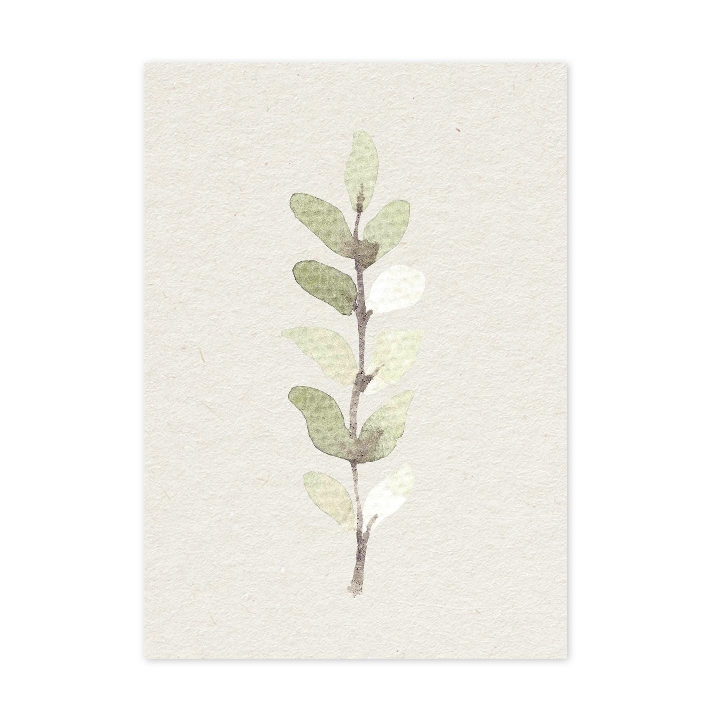 Silver leaf - duurzame ansichtkaart - boomvrij papier / plasticvrij verpakt