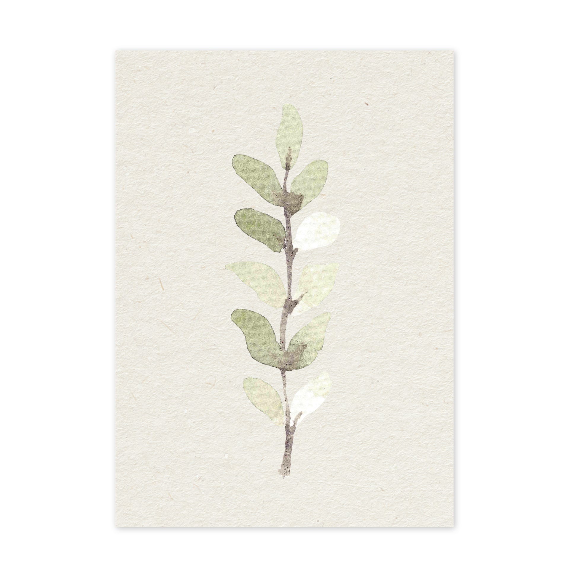 Silver leaf - duurzame ansichtkaart - boomvrij papier / plasticvrij verpakt