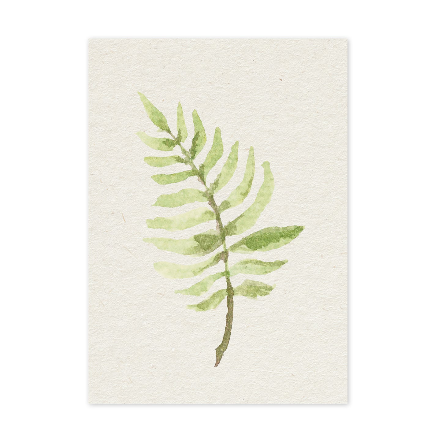 Fern - duurzame ansichtkaart - boomvrij papier / plasticvrij verpakt