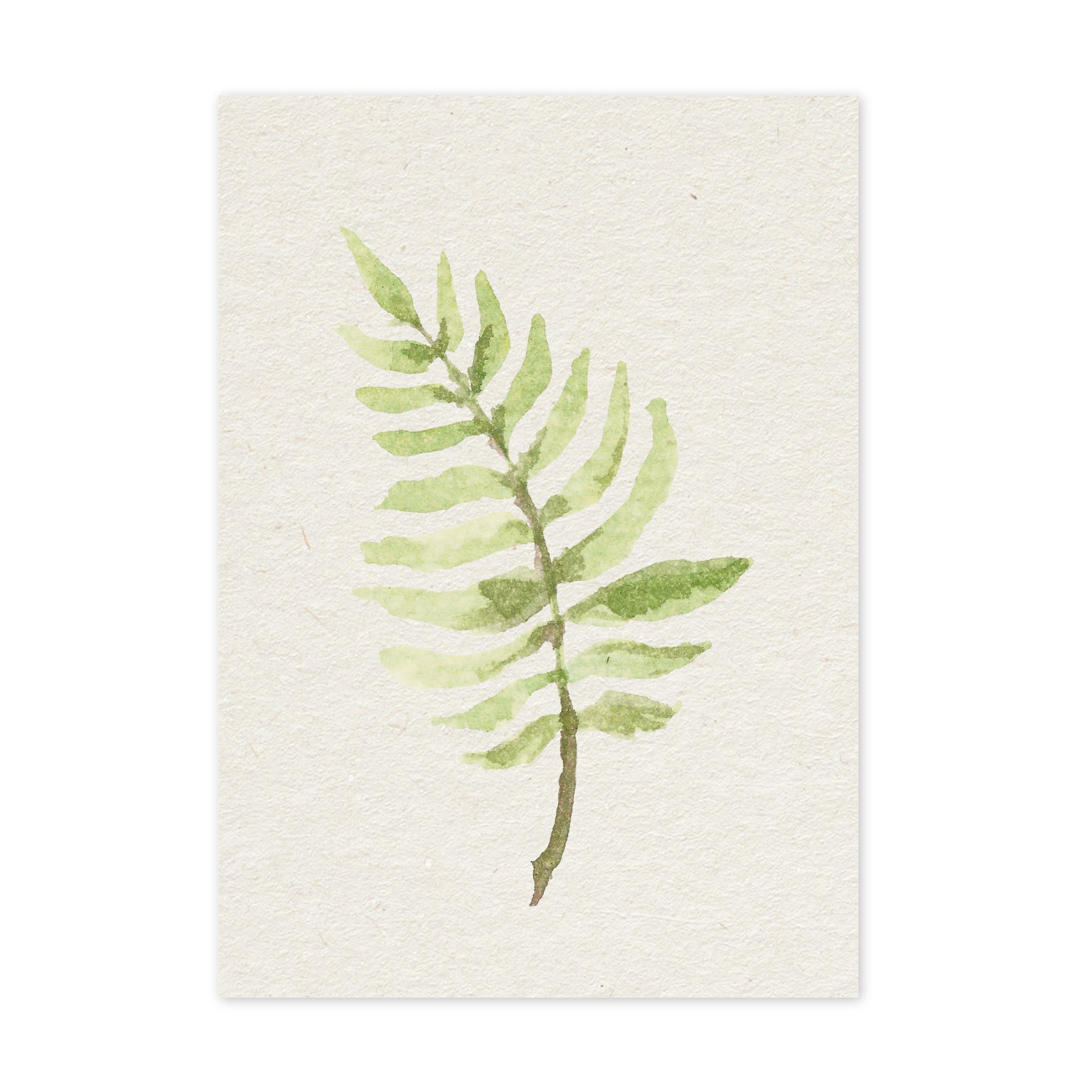 Fern - duurzame ansichtkaart - boomvrij papier / plasticvrij verpakt