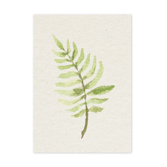 Fern - duurzame ansichtkaart - boomvrij papier / plasticvrij verpakt