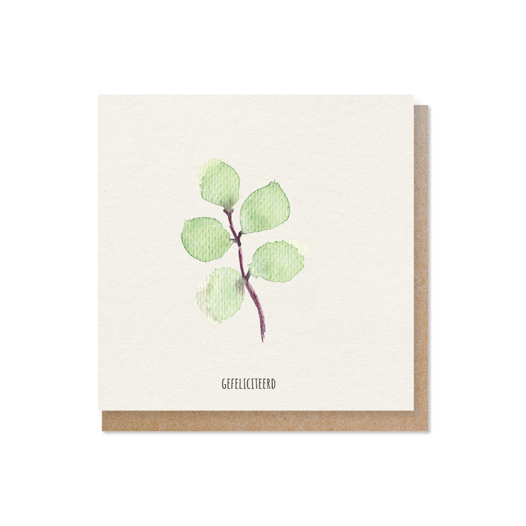 Luxe wenskaarten Aquarel | Set van 5