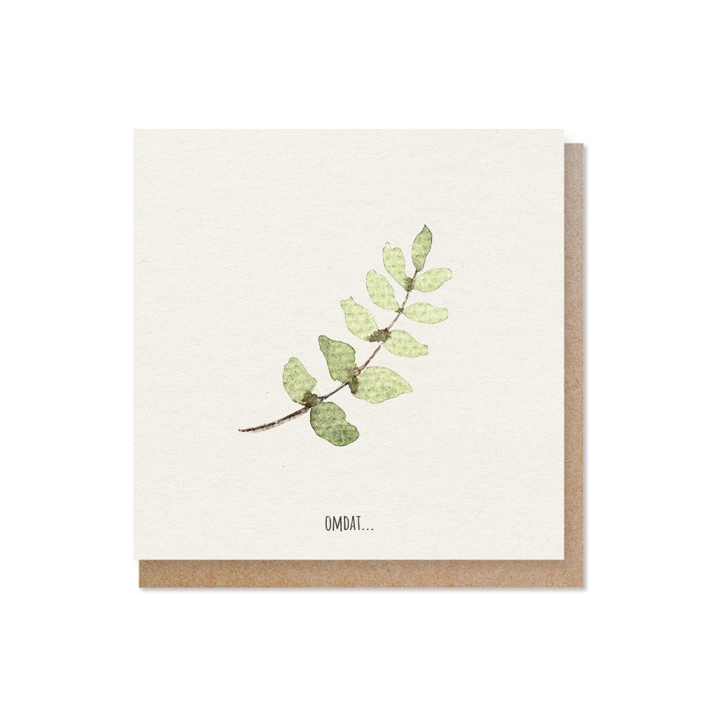 Luxe wenskaarten Aquarel | Set van 5