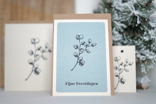 Duurzame kerstkaart | Eucalyptus