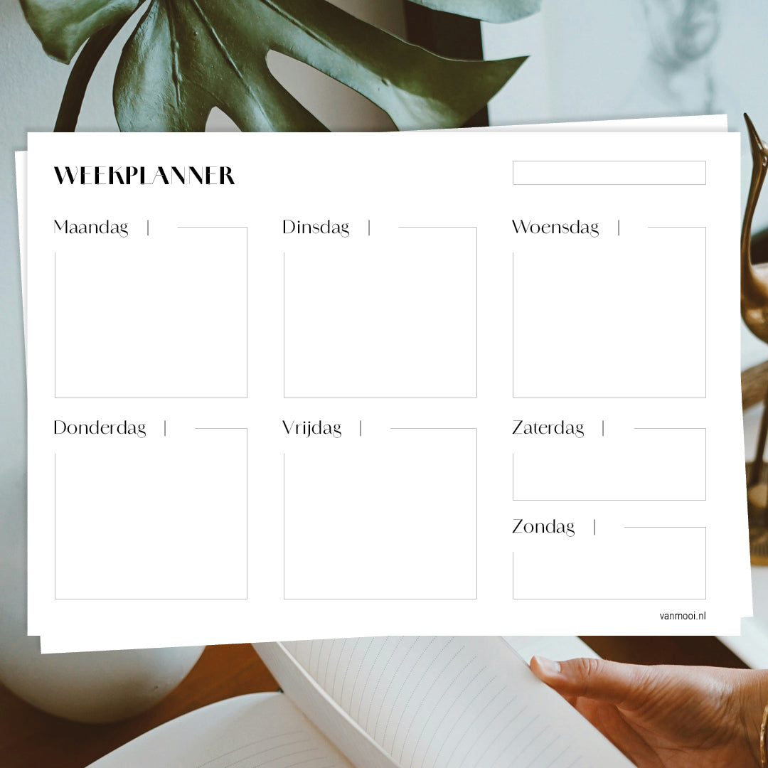 Printable grote overzichtelijke vlakken weekplanner PDF – VanMooi
