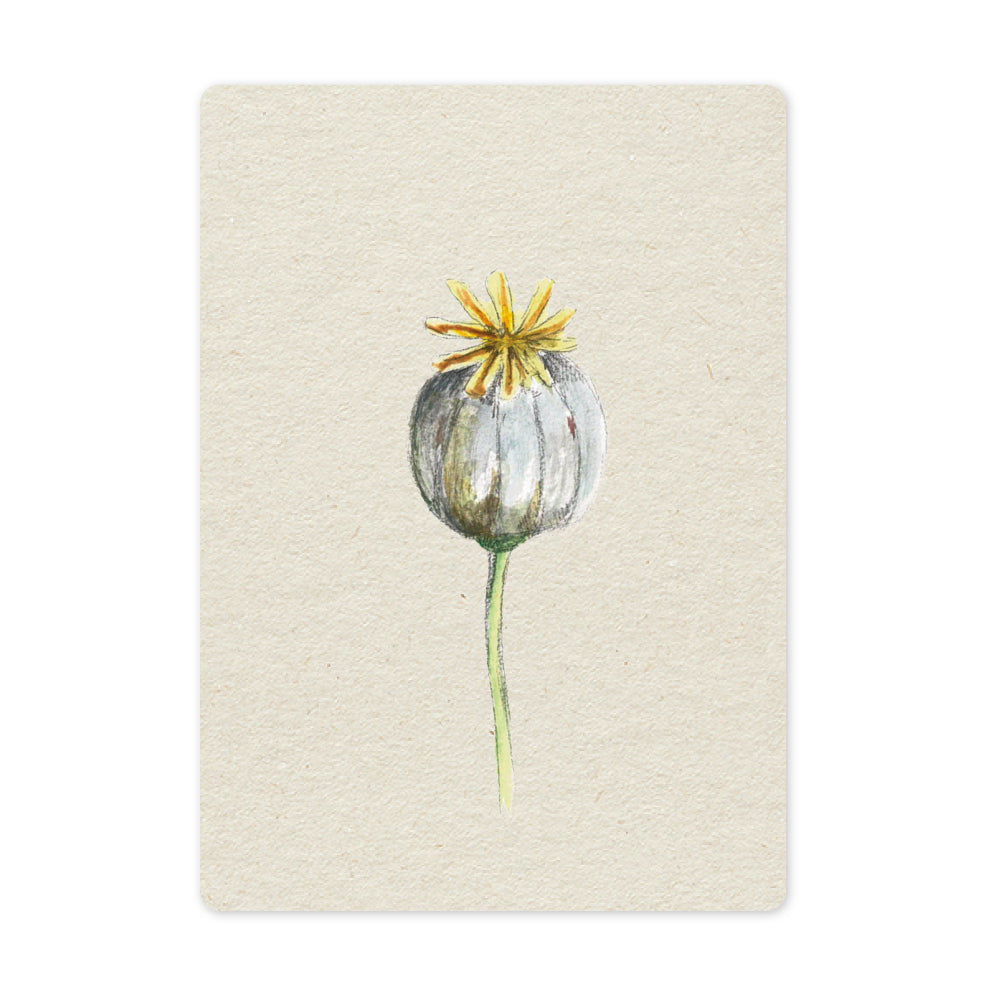 Duurzame ansichtkaart | Poppy bulb