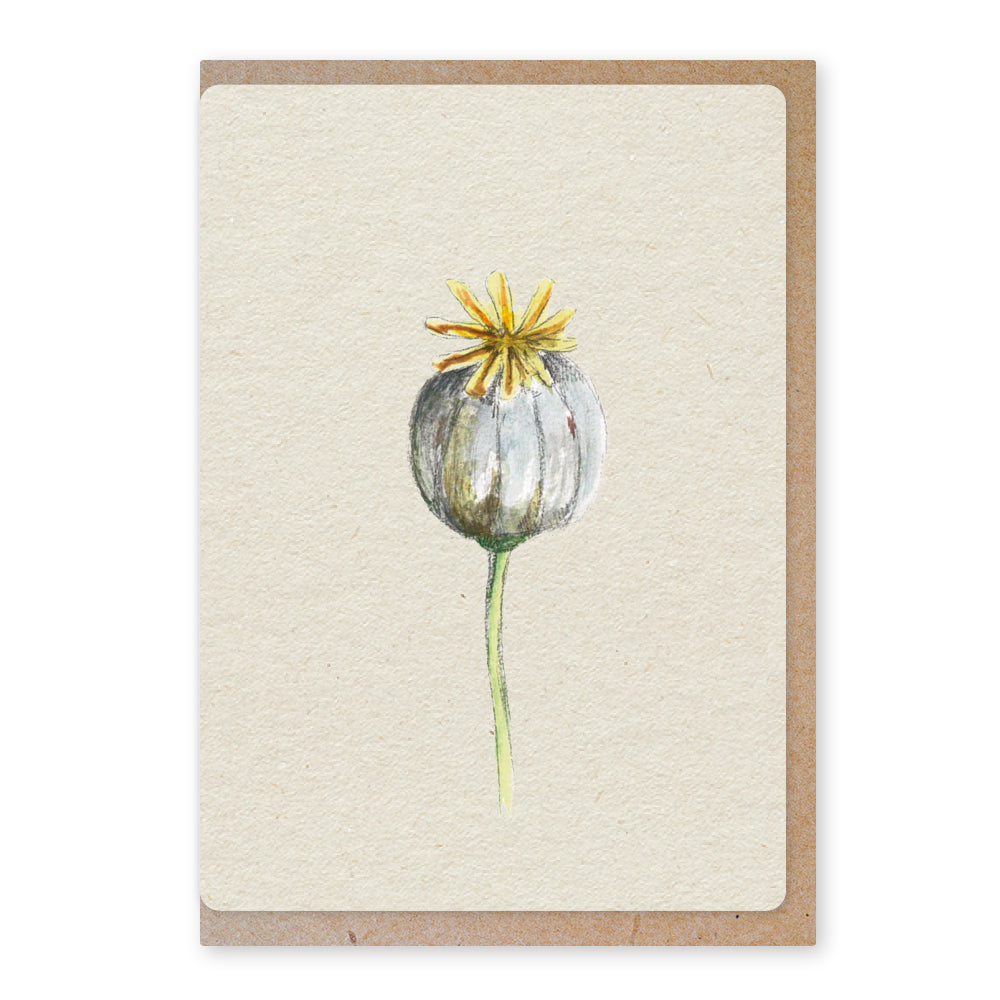 Duurzame ansichtkaart | Poppy bulb