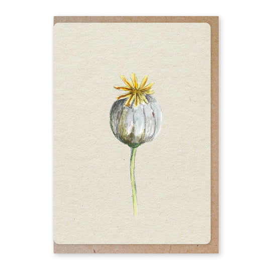 Duurzame ansichtkaart | Poppy bulb