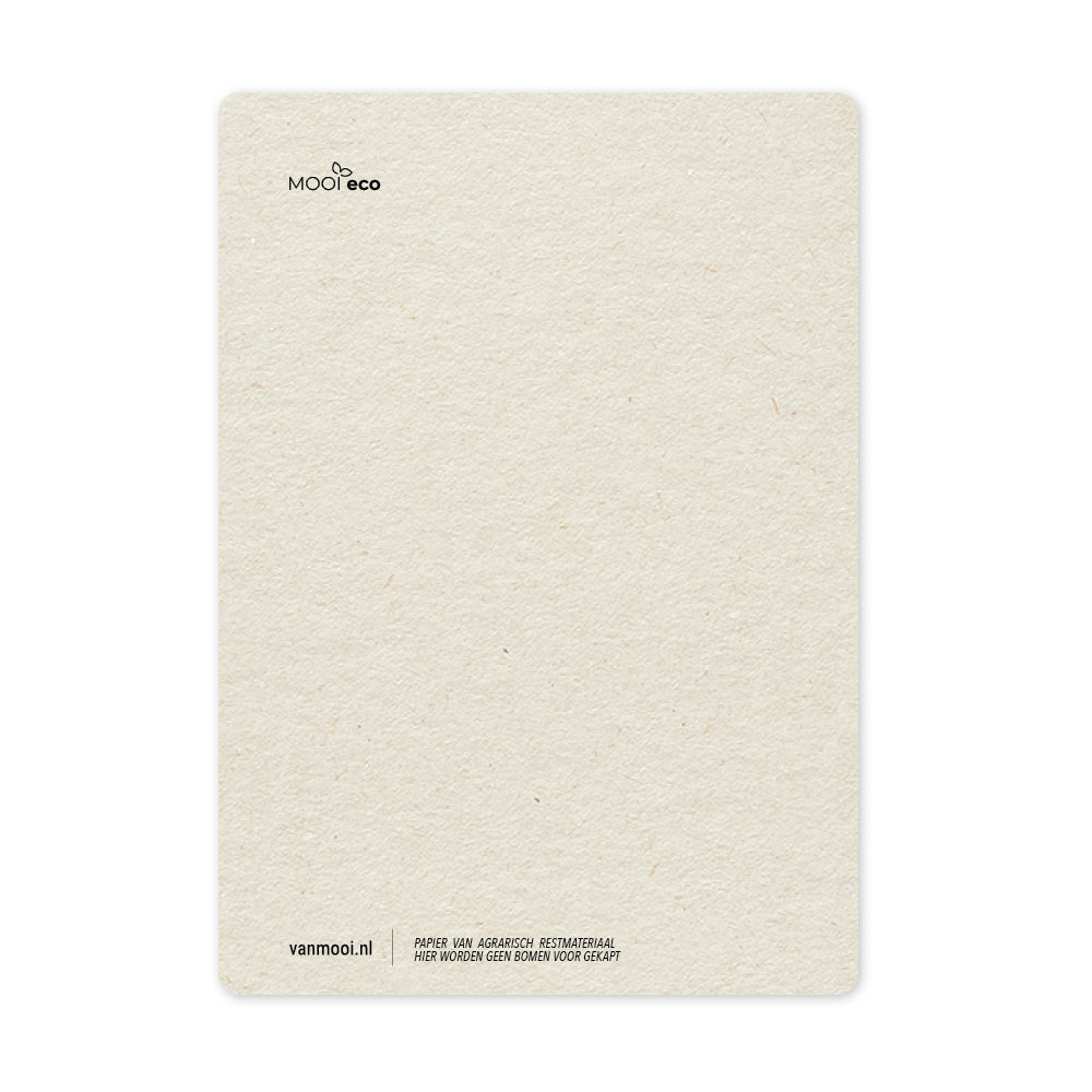 Duurzame Ansichtkaart | Olive Leaf