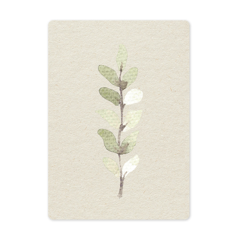 Duurzame ansichtkaart | Silver Leaf