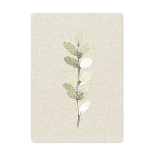 Duurzame ansichtkaart | Silver Leaf