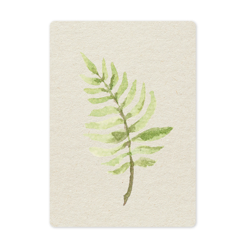 Duurzame ansichtkaart | Fern